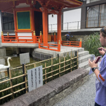 Small vermillion shrine pavilion beside a pond with a swan, as a visitor takes a photo